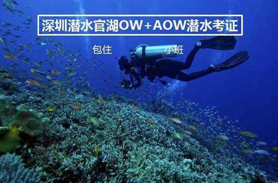 41×22等于多少?- 红迪网平台